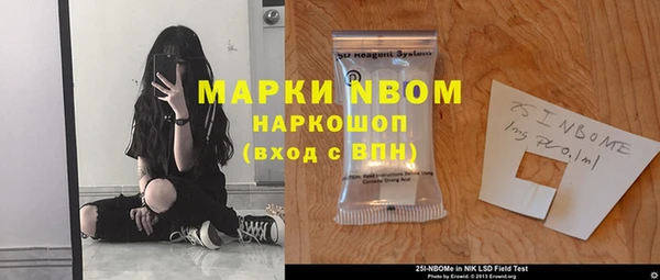индика Гусь-Хрустальный
