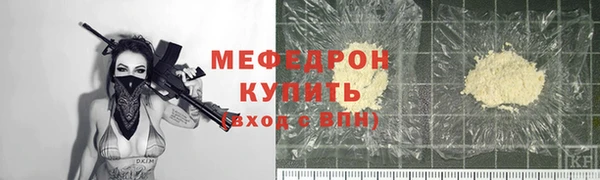 индика Гусь-Хрустальный