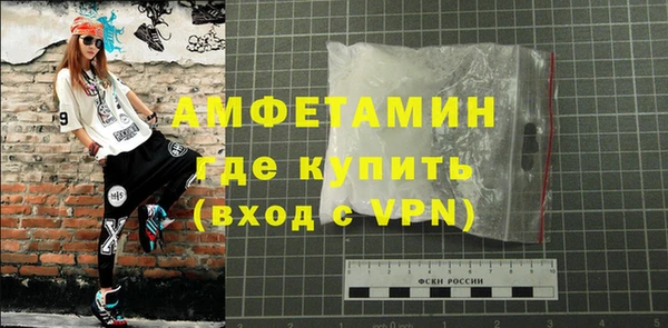 индика Гусь-Хрустальный