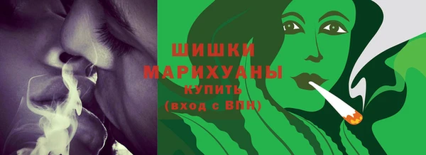 гидра Дмитров