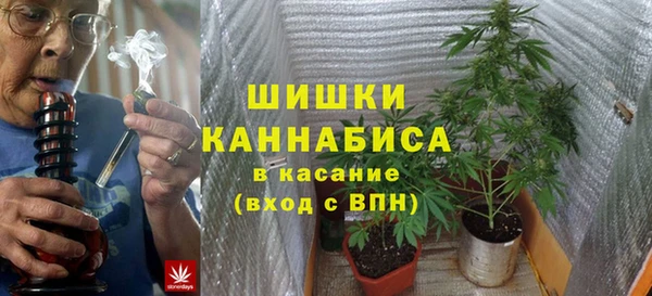 гидра Дмитров