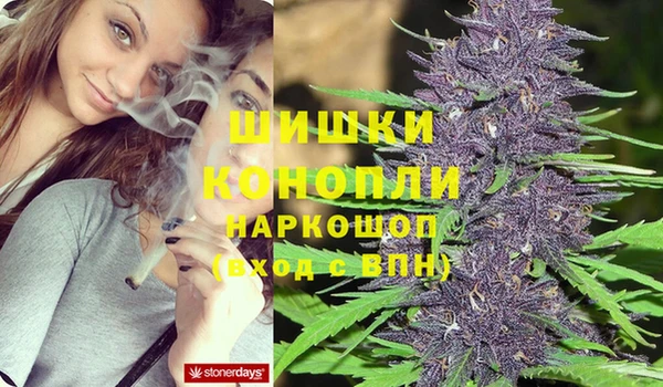 гидра Дмитров