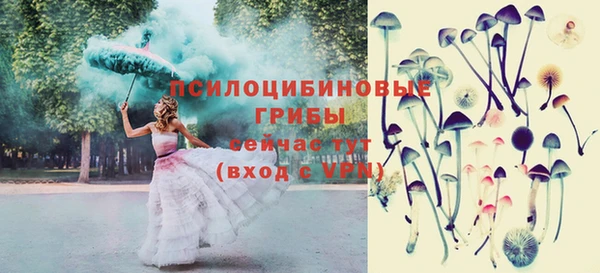 гидра Дмитров