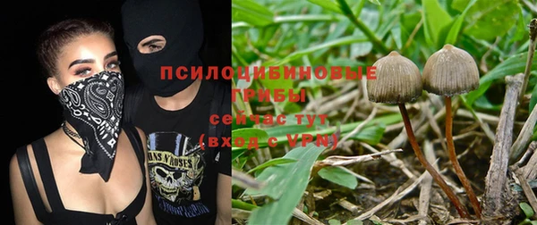крисы Дмитровск