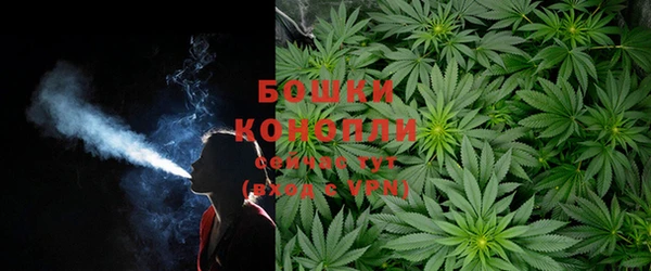 гидра Дмитров