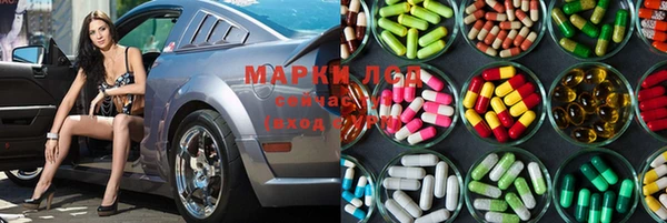 индика Гусь-Хрустальный