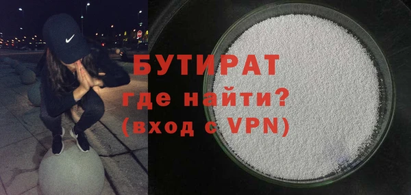 индика Гусь-Хрустальный