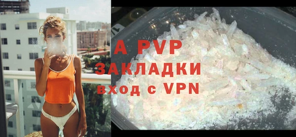 индика Гусь-Хрустальный